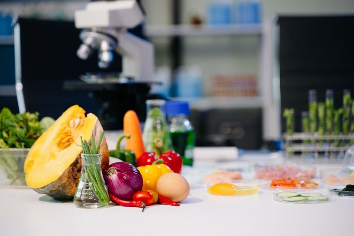 Formation sur site dans une usine agroalimentaire
